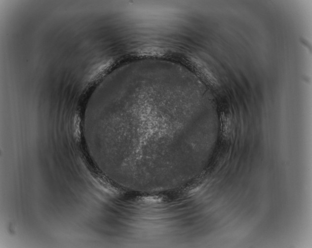 X0000097500692200803071802