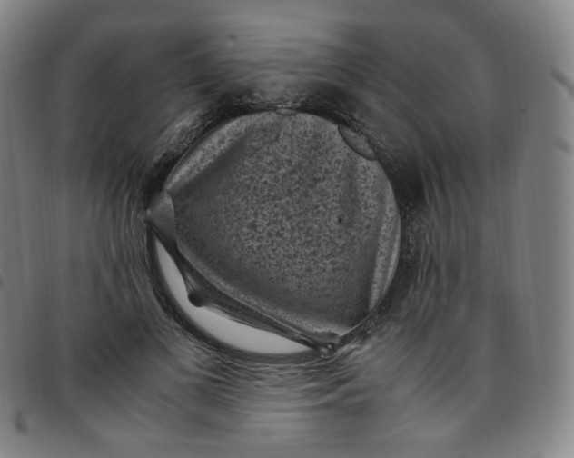 X0000097500693200803071802