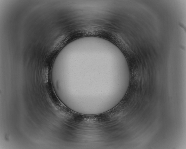 X0000097500694200803071802