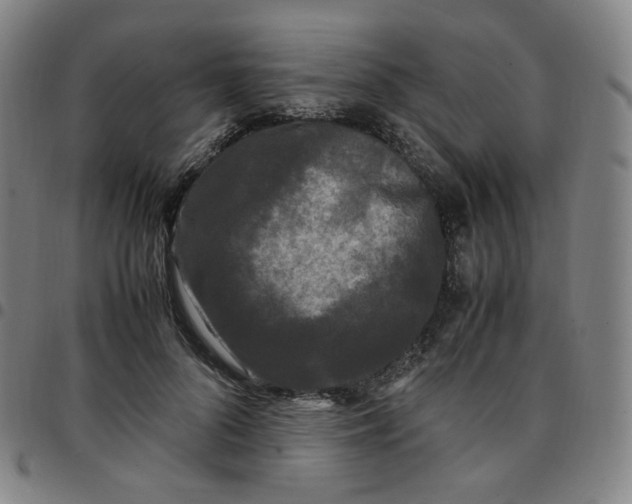 X0000097500696200803071802