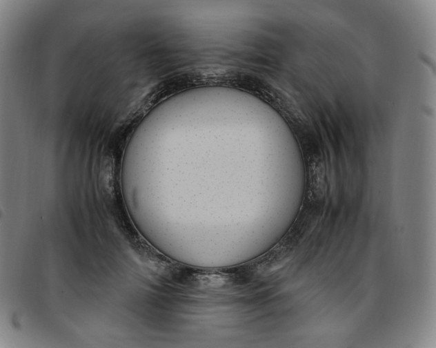 X0000097500698200803071802
