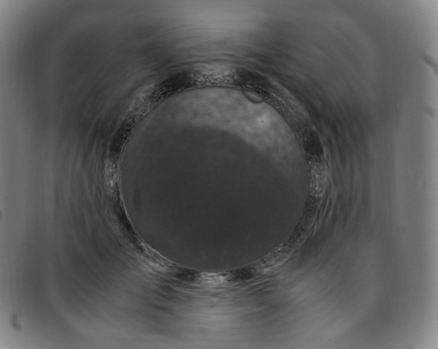 X0000097500701200803071802