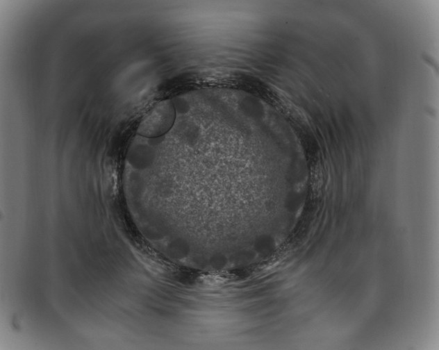 X0000097500703200803071802