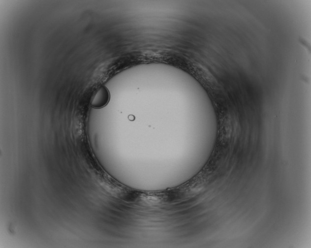 X0000097500706200803071802