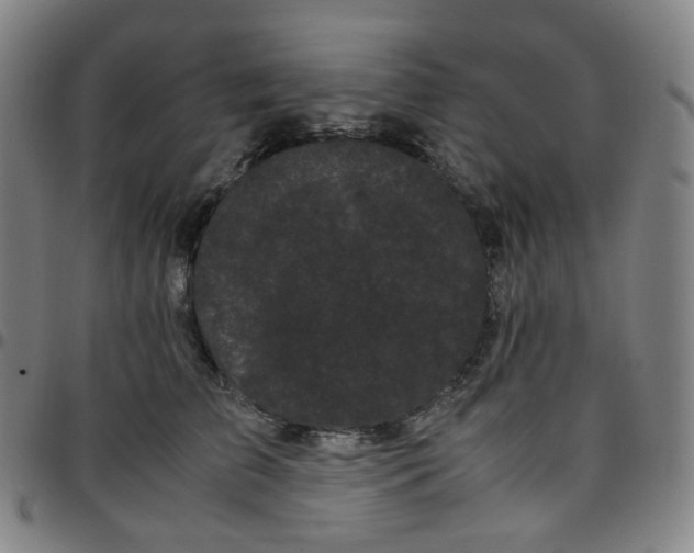 X0000097500709200803071802