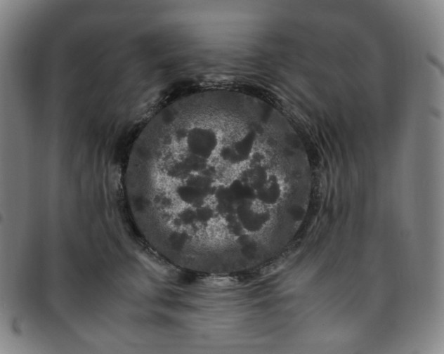 X0000097500711200803071802