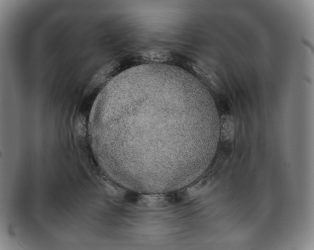 X0000097500713200803071802