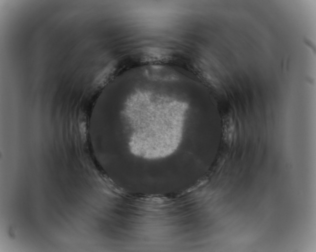 X0000097500716200803071802