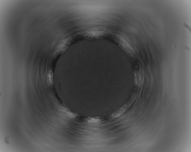 X0000097500718200803071802