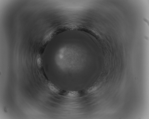 X0000097500720200803071802