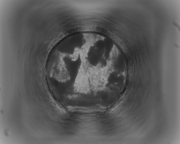 X0000097500721200803071801