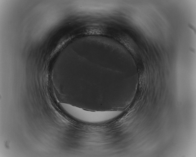 X0000097500722200803071801
