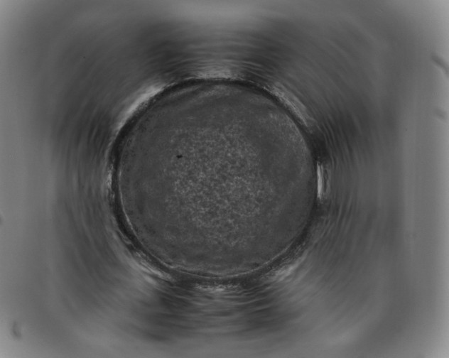 X0000097500723200803071801