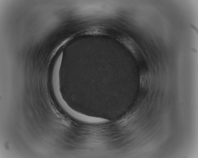 X0000097500724200803071801