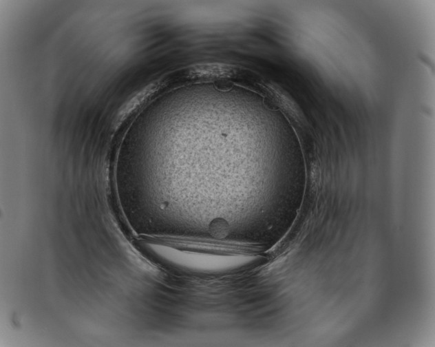 X0000097500725200803071801