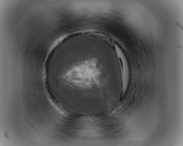 X0000097500726200803071801