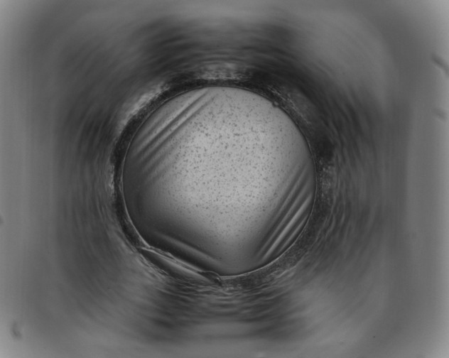 X0000097500727200803071801