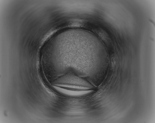 X0000097500728200803071801