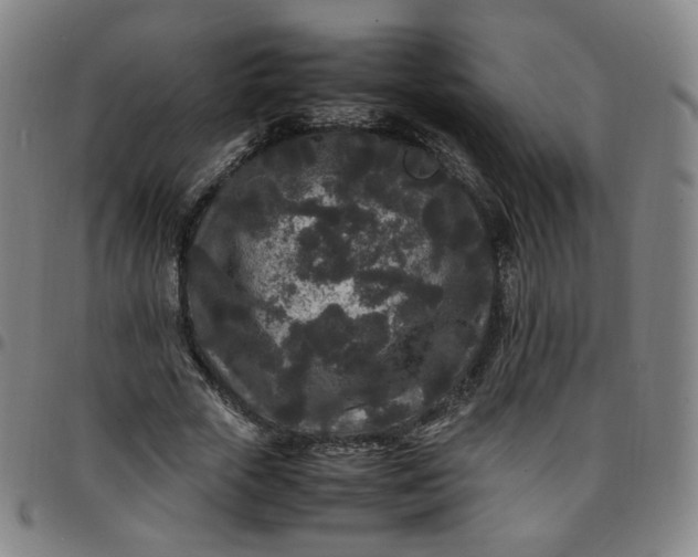 X0000097500729200803071801