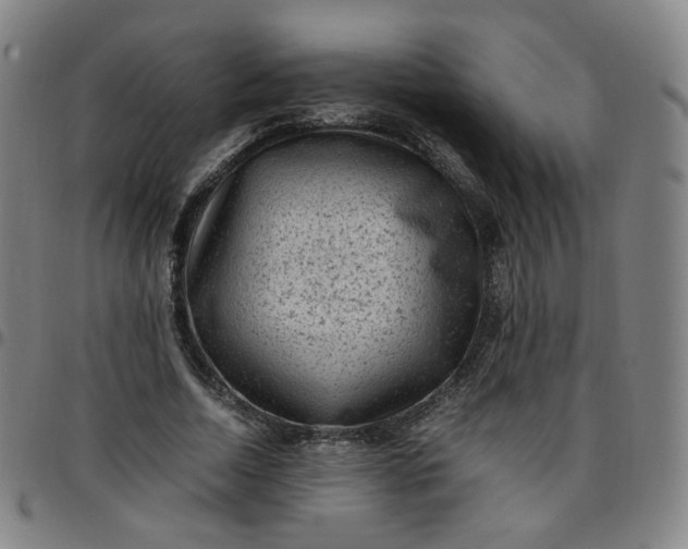 X0000097500730200803071801