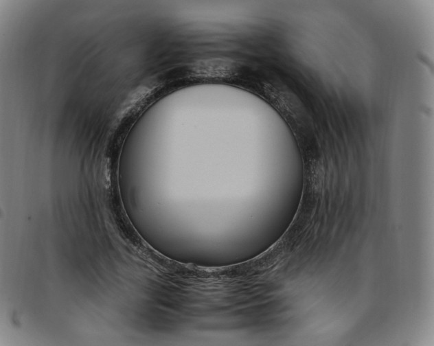 X0000097500731200803071801