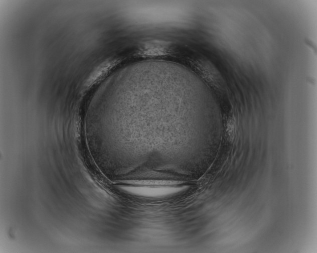 X0000097500732200803071801