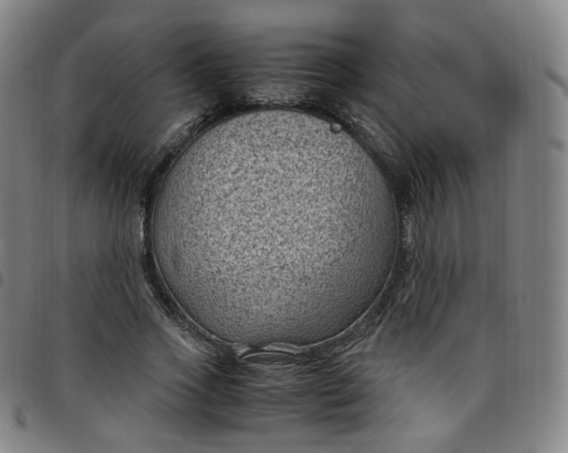 X0000097500733200803071802
