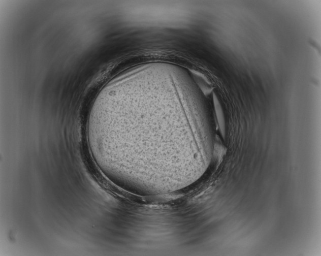 X0000097500734200803071802