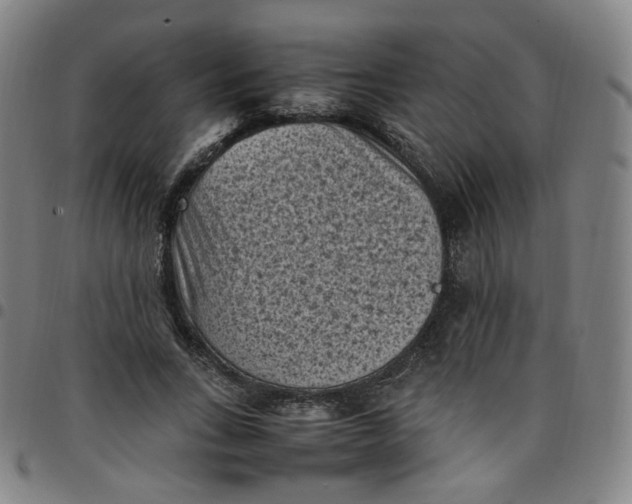 X0000097500735200803071802