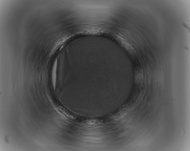 X0000097500736200803071802