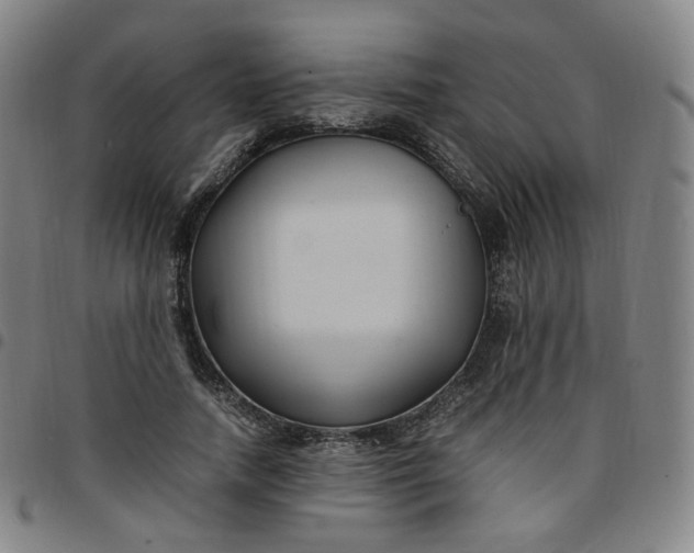 X0000097500738200803071802