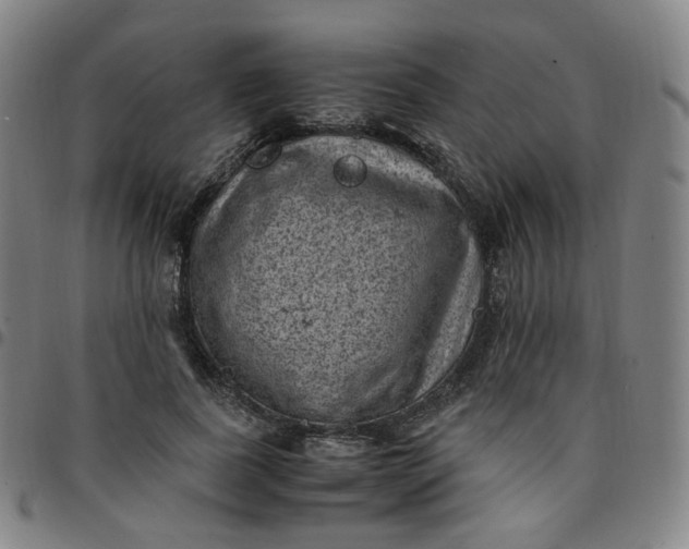 X0000097500739200803071802