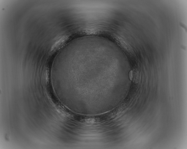 X0000097500740200803071802