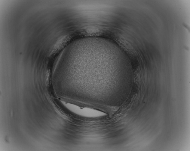 X0000097500742200803071802