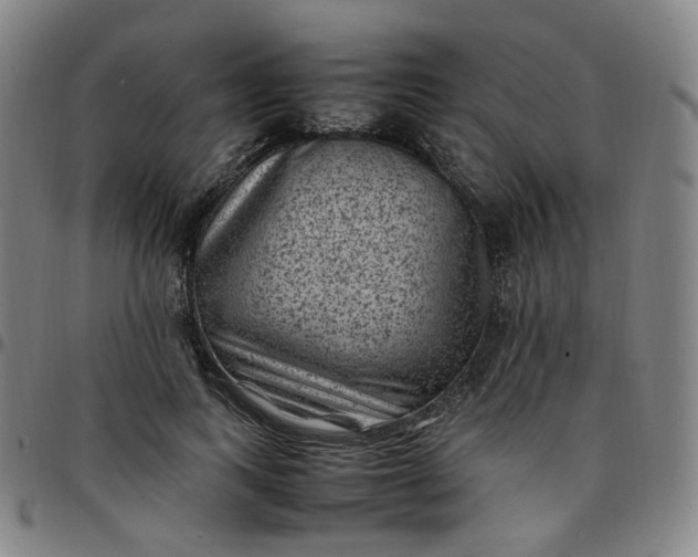 X0000097500743200803071802