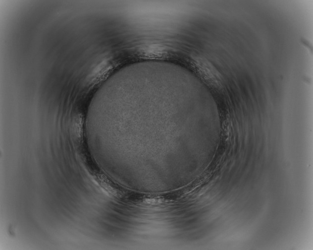 X0000097500744200803071802