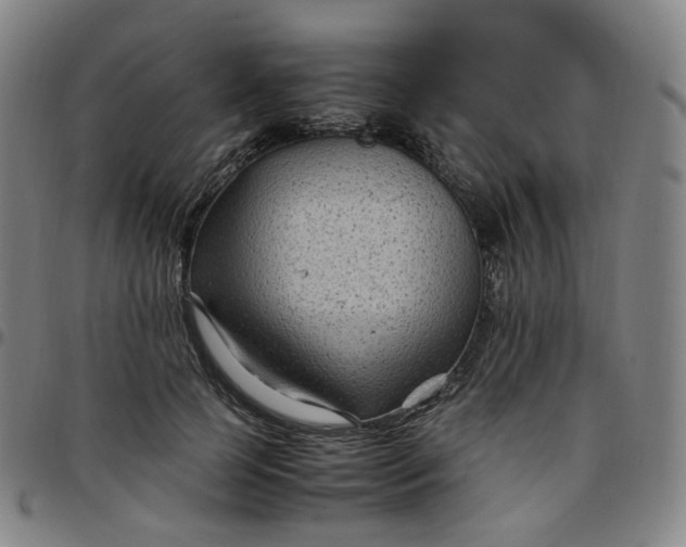 X0000097500745200803071802