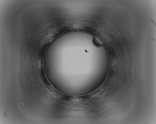 X0000097500746200803071802
