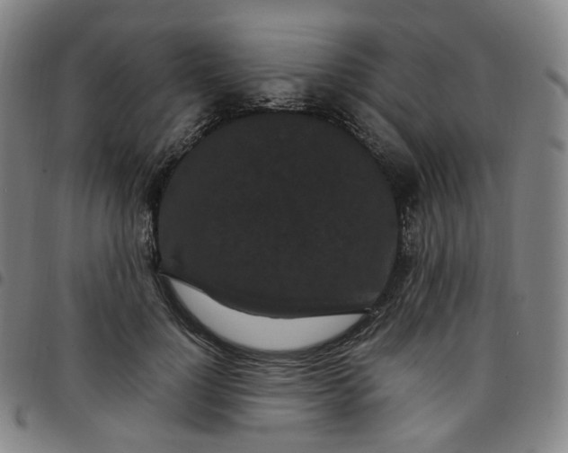 X0000097500748200803071802
