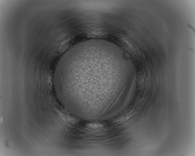 X0000097500749200803071802