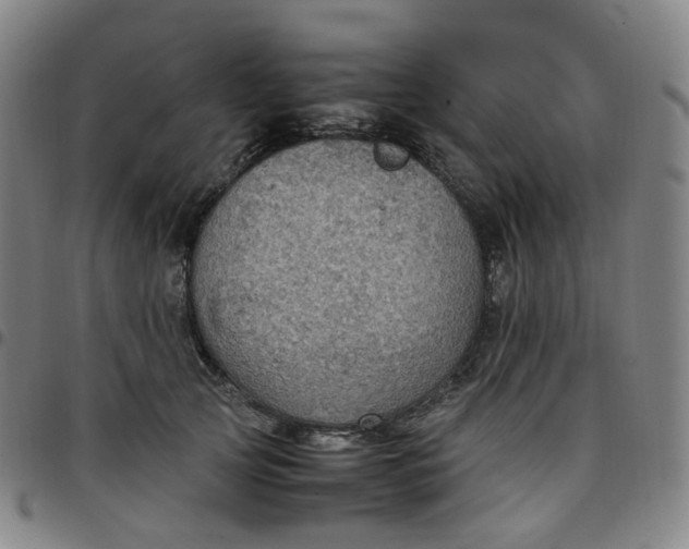 X0000097500753200803071802