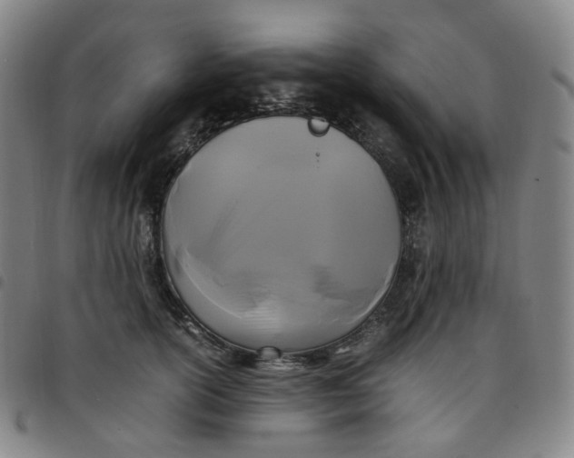 X0000097500754200803071802
