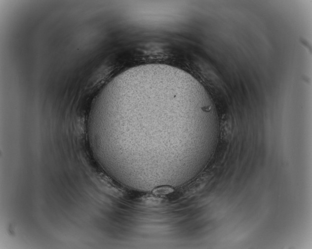 X0000097500756200803071802