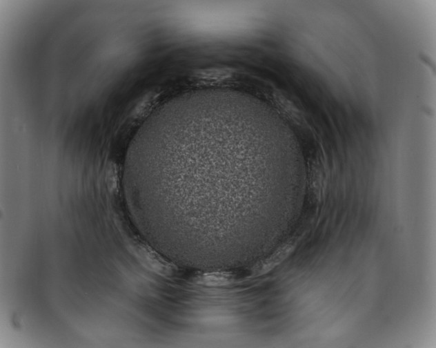 X0000097500758200803071802