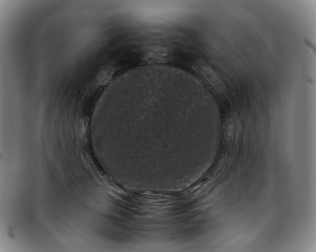 X0000097500759200803071802