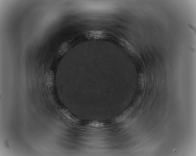 X0000097500760200803071802