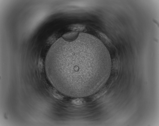 X0000097500761200803071802