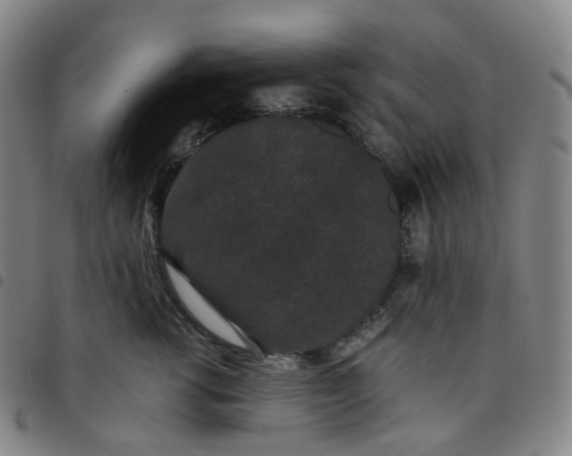 X0000097500762200803071802