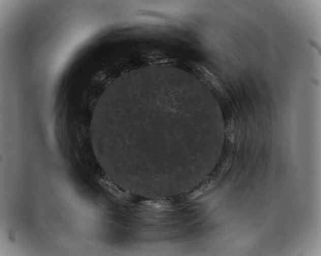 X0000097500763200803071802