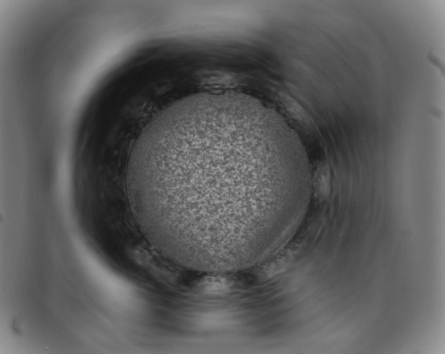 X0000097500764200803071802
